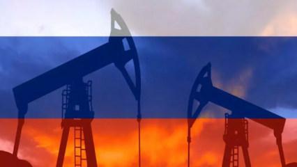 Rusya'dan kritik a&ccedil;ıklama! 'Hızlı bir şekilde yasaklarız'