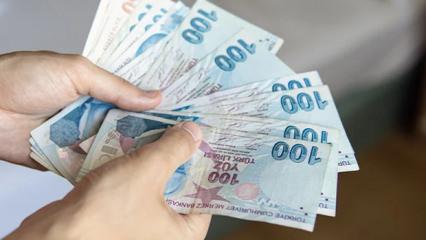 250 bin TL destek alabileceksiniz! 3 şartı sağlamanız gerekiyor