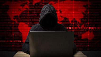 Sınır tanımıyorlar: e-Devlet sistemini bile kopyaladılar