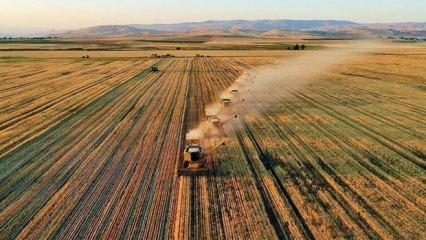 ABD-İran gerilimi fiyatları u&ccedil;urmuştu: Bakanlık d&uuml;ğmeye bastı: Tamamını devlet &ouml;deyecek...
