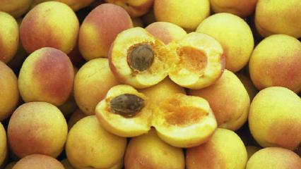 15 senelik &uuml;nl&uuml; gıda markası iflas etti! Kayısılarıyla nam salmıştı