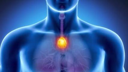 Bu organınız kansere meydan okuyor! Herkesi şaşkına &ccedil;evirdi