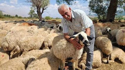 120 bin liraya &ccedil;alışacak iş&ccedil;i bulamıyorlar! Yeni nesil bu sekt&ouml;re yanaşmıyor
