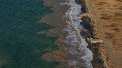 Trabzon'da şaşırtan g&ouml;r&uuml;nt&uuml;: Sahil bir gecede &ccedil;amura d&ouml;nd&uuml;