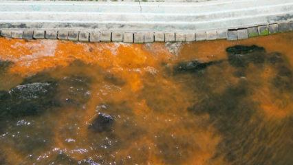 Tekirdağ'da denizin rengi değişti! Uzmanlardan a&ccedil;ıklama geldi