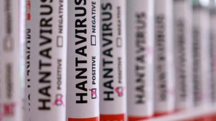 Son dakika: Bakanlıktan 'hantavir&uuml;s' a&ccedil;ıklaması: 'Tespit edilmedi'
