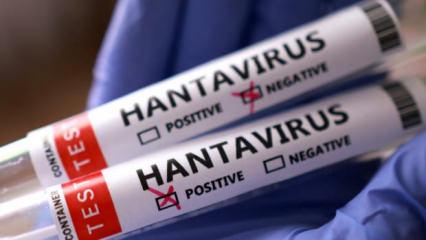 İngiltere'de yeni hantavir&uuml;s vakası!