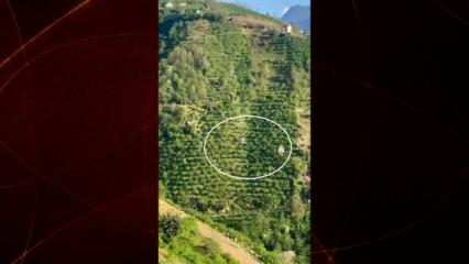 Giresun'da u&ccedil;urumdan yuvarlanan ara&ccedil; paniğe neden oldu