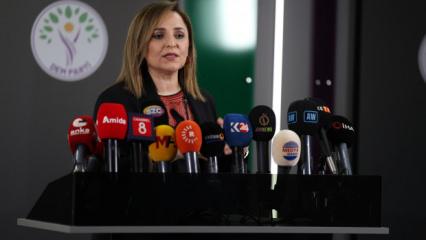 DEM Parti S&ouml;zc&uuml;s&uuml; Doğan: Bah&ccedil;eli'nin &ccedil;abasını &ouml;nemli buluyoruz