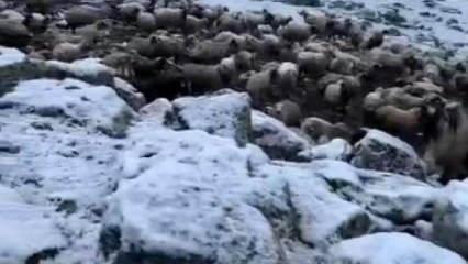 Kentte kış geri d&ouml;nd&uuml;! Termometreler eksi 5'i g&ouml;sterdi: Lapa lapa kar yağdı 