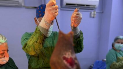 Aydın'da şoke eden operasyon: Karnından 40 kilogram kitle &ccedil;ıkarıldı