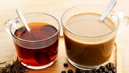 &Ccedil;ay ve kahve tutkunlarını &uuml;zen haber! Zirvenin yeni sahibi şaşırttı