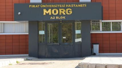 Feci &ouml;l&uuml;m! &Uuml;zerine beton blok d&uuml;şt&uuml;