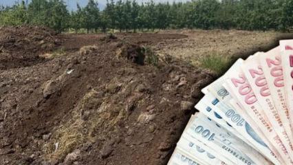 G&uuml;nl&uuml;k 5 bin liraya iş&ccedil;i bulamıyorlar! &Ccedil;ift&ccedil;iler zorlanıyor