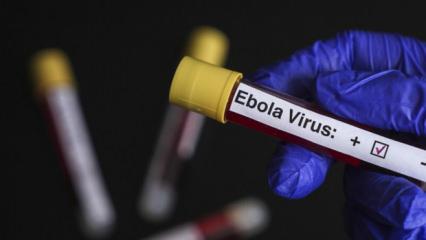Ebola alarmında "T&uuml;rkiye" sorusu: Şu anda bir risk s&ouml;z konusu değil!