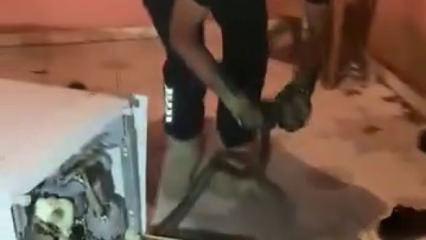 Hatay'da bulaşık makinesinden 2 metrelik yılan &ccedil;ıktı 
