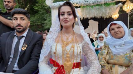 Aşiret d&uuml;ğ&uuml;n&uuml;nde gelin ve damada servet takıldı! Rakamı duyan kulaklarına inanamadı