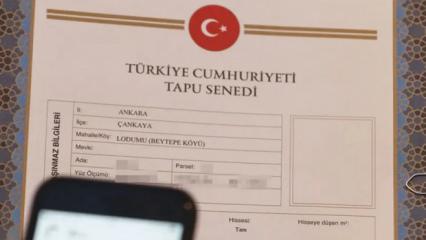 "Bana bakacak" deyip mirasını torununa bırakmıştı! Yargıtay tapu devrini iptal etti