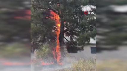 Feke&rsquo;de orman yangını: Helikopter ile m&uuml;dahale ediliyor