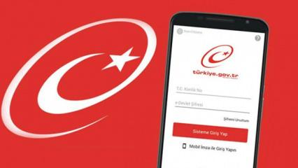 e-Devlet'i kullananlar dikkat: Birka&ccedil; saniyede yapın! 6'sı birden &ccedil;ıkıyor