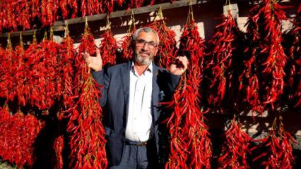 Hasat bitti, k&ouml;y kırmızıya boyandı: Bu k&ouml;y&uuml; g&ouml;rmek i&ccedil;in tur d&uuml;zenliyorlar!