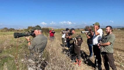 İlk kez Antalya'da g&ouml;r&uuml;nt&uuml;lendi: Fotoğrafını &ccedil;ekmek isteyenler b&ouml;lgeye akın ediyor