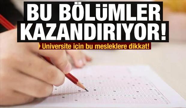 yilmaz ari