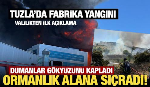 Son Dakika... Tuzla'da fabrika yangını: Bitişikteki fabrikaya ve ormanlık alana sıçradı!