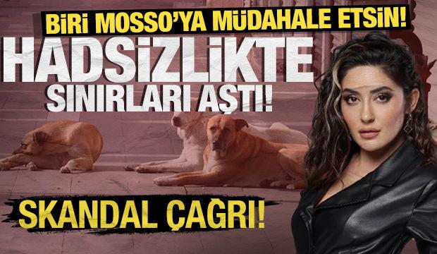 Mosso'dan sokak köpekleri üzerinden skandal çağrı! Hadsizlikte sınırları aştı
