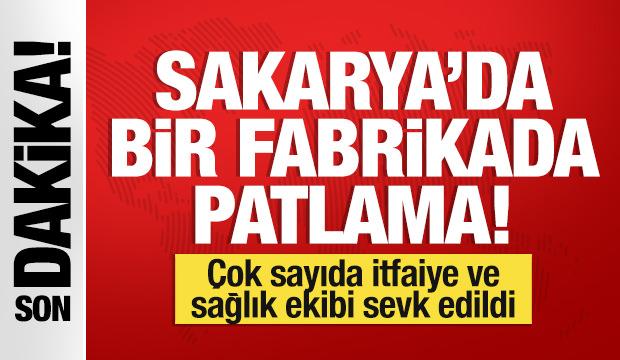 Son dakika... Hendek ilçesinde fabrikada patlama!