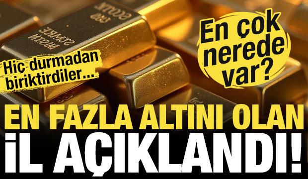 T&uuml;rkiye'nin altın haritası! Hangi ilde ne kadar altın var?
