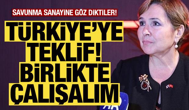 Finlandiya'dan Türkiye'ye teklif: Birlikte çalışalım