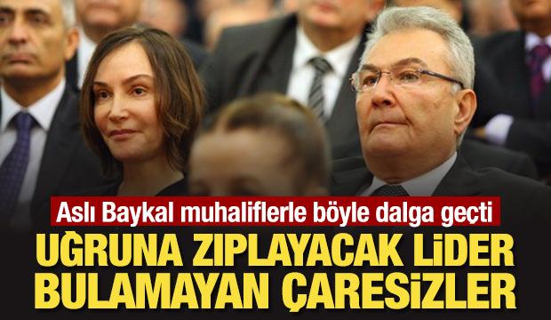 Aslı Baykal muhaliflerle böyle dalga geçti: Uğruna zıplayacak lider bulamayan çaresizler