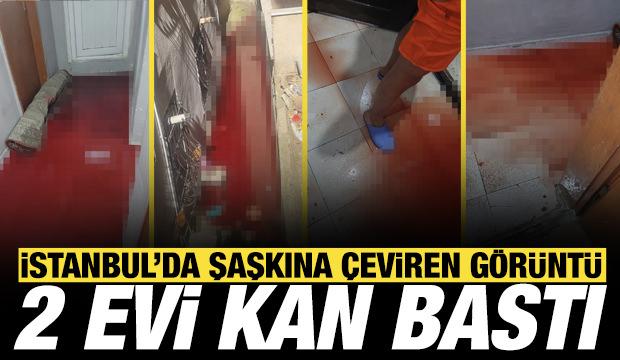  Gaziosmanpaşa'da kanalizasyondan gelen kurban kanı 2 daireyi bastı
