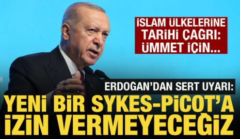 Cumhurbaşkanı Erdoğan'dan İslam ülkelerine tarihi çağrı