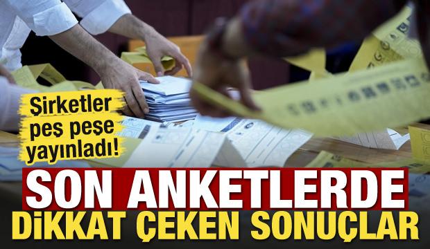 Şirketler peş peşe yayınladı! Son anketlerde dikkat çeken sonuçlar