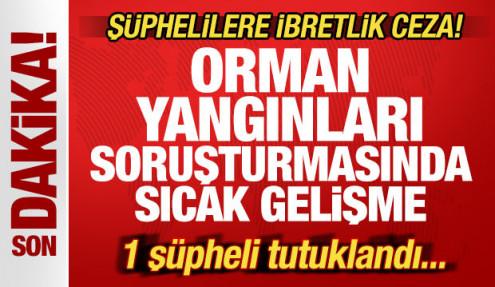 Son dakika: Bursa'da havai fişekle ormanı yakanlara ibretlik ceza! 1 kişi tutuklandı...