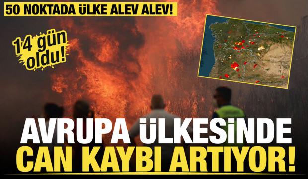 İspanya'da çıkan orman yangınlarında 7 kişi hayatını kaybetti