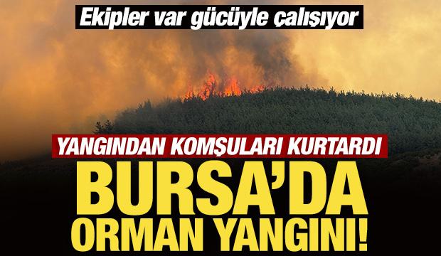 Son Dakika: Bursa'da orman yangını! Ekipler var gücüyle çalışıyor