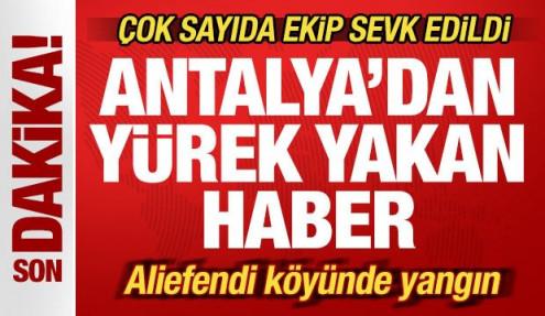 Son dakika: Antalya'da yürek yakan haber! Çok sayıda ekip sevk edildi! Elektrikler kesildi