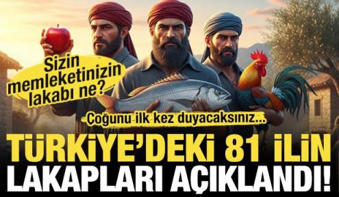 Türkiye'nin 81 ilinin lakapları açıklandı! Memleketinizin lakabı ne?