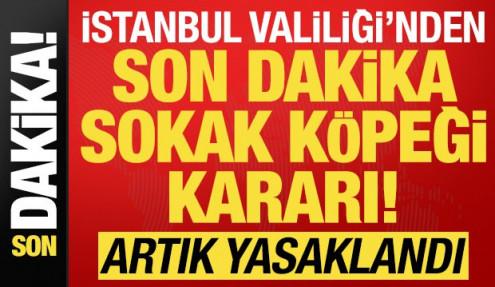 İstanbul Valiliği'nden son dakika 'sokak köpeği' kararı! Artık yasaklandı...