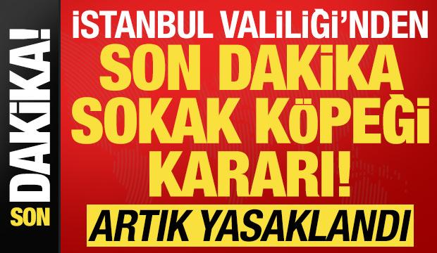 İstanbul Valiliği'nden son dakika 'sokak köpeği' kararı! Artık yasaklandı...