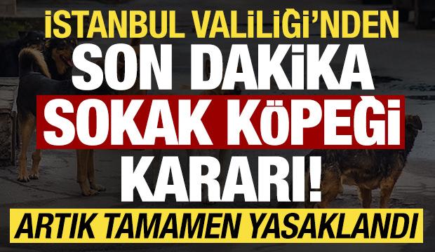 İstanbul Valiliği'nden son dakika 'sokak köpeği' kararı! Artık yasaklandı...