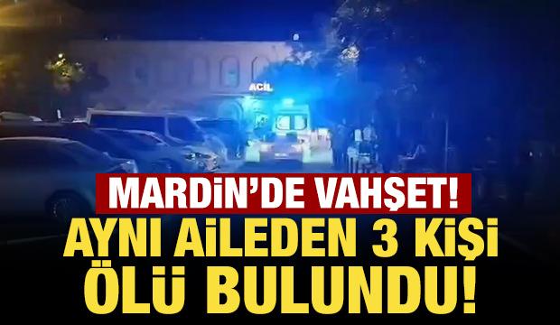 Mardin'de vahşet! Aynı aileden 3 kişi ölü bulundu!