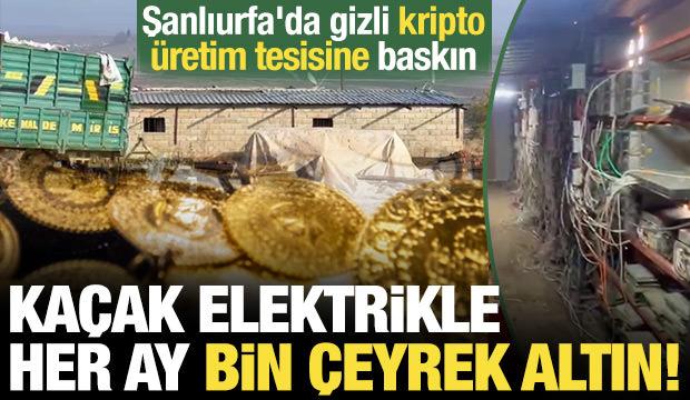 Pes dedirten düzenek: Kaçak elektrikle her ay bin çeyrek altın kazanmışlar!