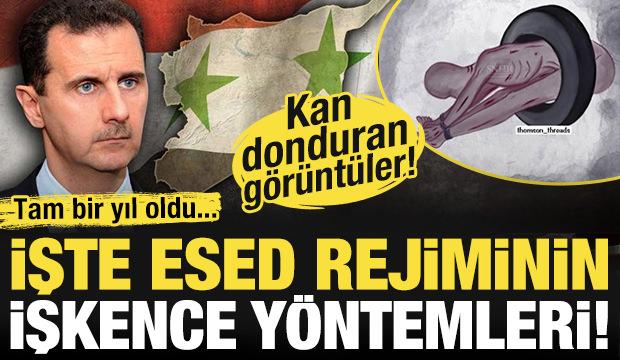 Tam bir yıl oldu! İşte Esed rejiminin Sednaya hapishanesinde uyguladığı işkence yöntemleri