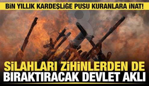 Silahları zihinlerden de bıraktıracak devlet aklı