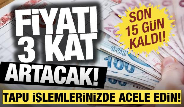 Tapu işlemleri için acele edin: 15 gün sonra fiyatı 3 kat artacak!