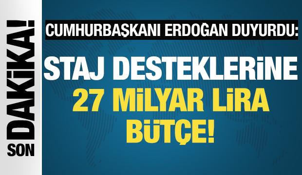 Cumhurbaşkanı Erdoğan Genç İstihdam Hamlesi Tanıtım Programı'nda konuşuyor